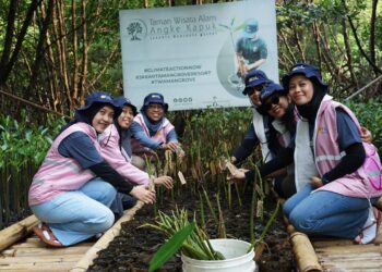 ICONers PLN Icon Plus Bersatu Tanam 200 Mangrove Untuk Pelestarian Lingkungan