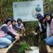 ICONers PLN Icon Plus Bersatu Tanam 200 Mangrove Untuk Pelestarian Lingkungan