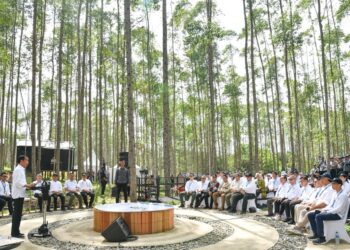 Daftar 4 menteri yang pindah ke IKN lebih dahulu. Foto: Dok/Setpres