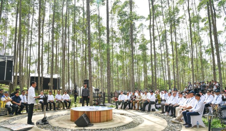 Daftar 4 menteri yang pindah ke IKN lebih dahulu. Foto: Dok/Setpres