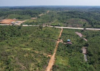 Lahan 1.000 Hektare Disiapkan untuk Bangun Kota Ramah Lingkungan di Penajam