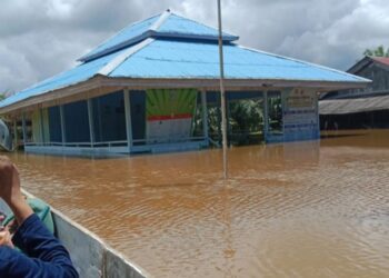 Banjir yang Landa Sepaku Jauh dari Kawasan Inti Pusat Pemerintahan IKN