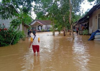 Aktivitas Pembangunan IKN Tak Terganggu Banjir yang Rendam Sepaku