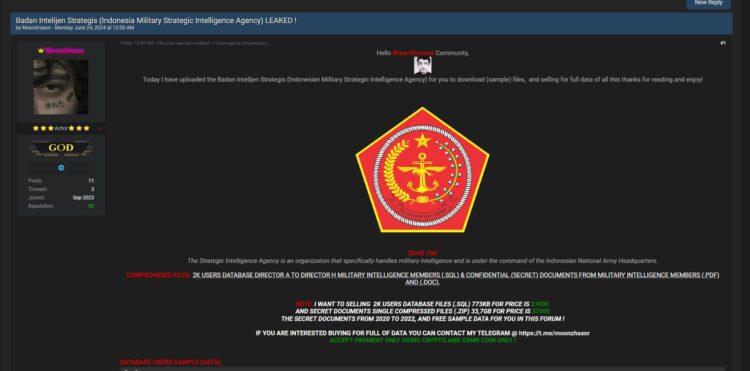Bocor! Data BAIS, INAFIS dan Kemenhub Dijual di Dark Web, Harganya 1.000 – 7.000 Dolar AS