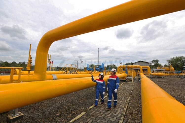 Pertamina Terus Perdalam Nature-Based Solutions yang Berpotensi Jadi Sumber Energi di IKN