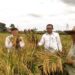 Hulu Sungai Utara Disiapkan Jadi Lumbung Pangan Penyangga IKN