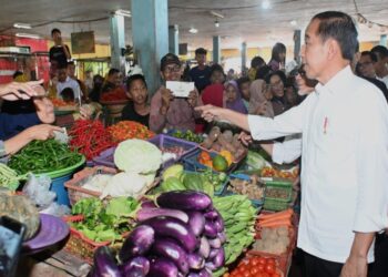Presiden Jokowi Pastikan Distribusi Pangan dari Jawa ke Kalimantan Lancar
