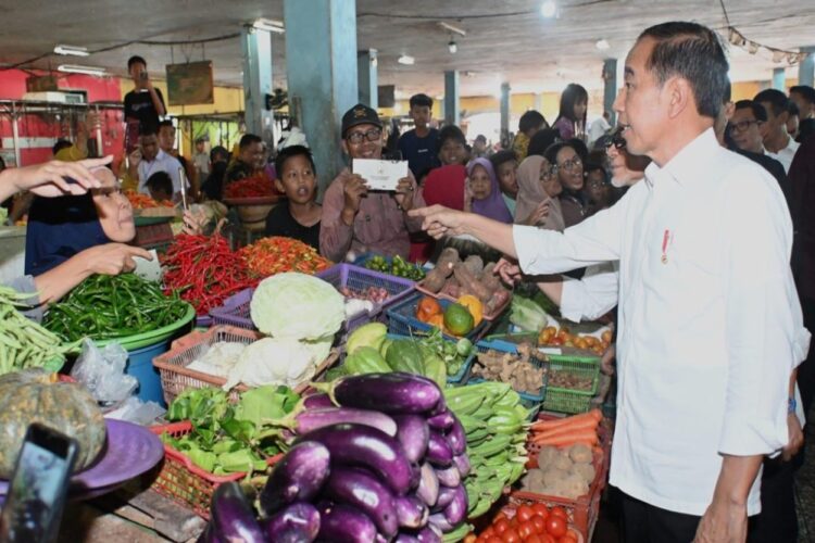 Presiden Jokowi Pastikan Distribusi Pangan dari Jawa ke Kalimantan Lancar