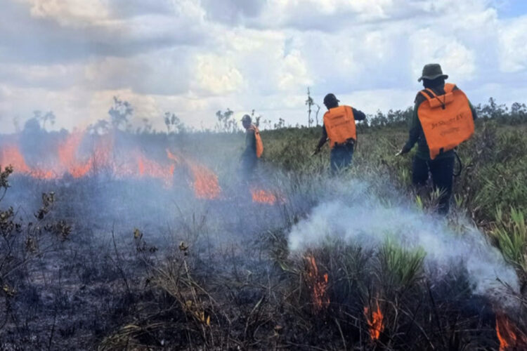BMKG Gelar Operasi Modifikasi Cuaca untuk Jaga 2,8 Juta Hektare Gambut di Kalbar