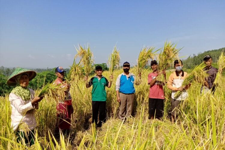 Kabupaten Kotawaringin Timur Siap Bila Ditunjuk Jadi Penyangga Pangan IKN