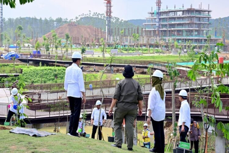 OIKN Pastikan Percepatan Pembangunan IKN Tak Rugikan Masyarakat