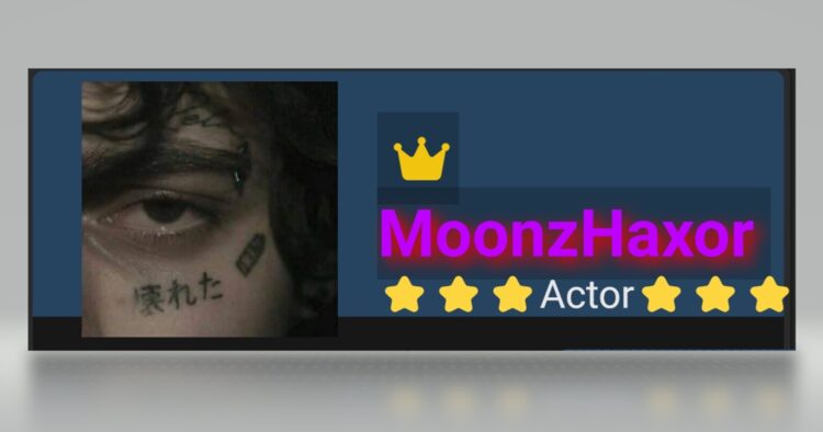 Profil MoonzHaxor, Hacker yang Curi Data BAIS, INAFIS dan Kemenhub