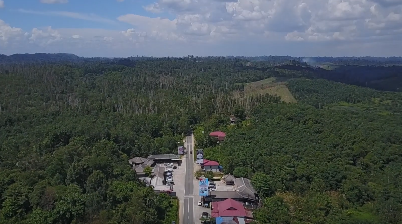 Taman Hutan Raya Bukit Soeharto. Foto: Tangkapan layar/Youtube/Tropenbos Indonesia