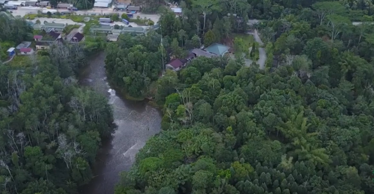 Taman Hutan Raya Bukit Soeharto. Foto: Tangkapan layar/Youtube/Tropenbos Indonesia