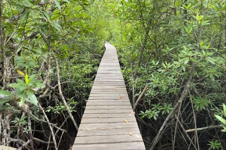 5 Destinasi Wisata Ini Siap Sambut Tamu Upacara HUT Ke-79 RI di IKN