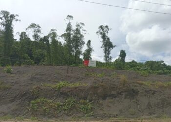 Istana Wapres di IKN Segera Dibangun, Pemenang Lelang Sudah Ada