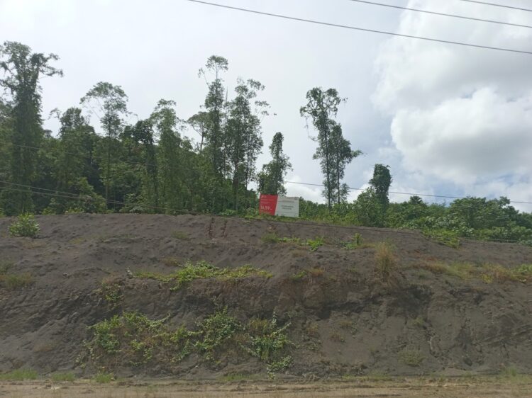 Istana Wapres di IKN Segera Dibangun, Pemenang Lelang Sudah Ada