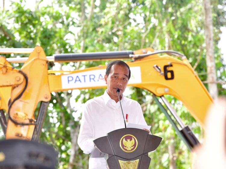 Presiden Jokowi Sebut IKN Akan Jadi Titik Pertumbuhan Ekonomi Baru