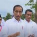 Jokowi Minta Kelebihan Produksi Beras dan Sayur di Sulsel Bisa Dikirim ke IKN