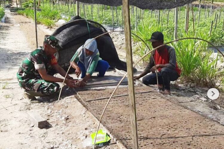 Antisipasi Kebutuhan Pangan IKN, Kodim PPU-Kelompok Tani Garap Lahan Tidur
