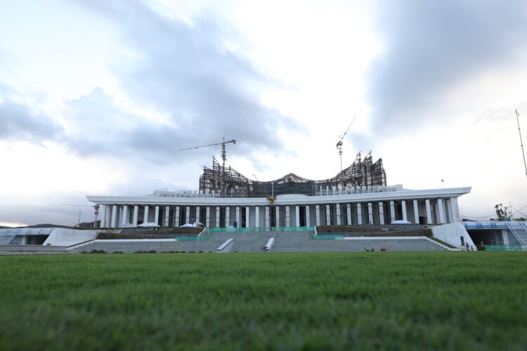 Mengenal Zoysia Matrella, Rumput di Lapangan Upacara IKN
