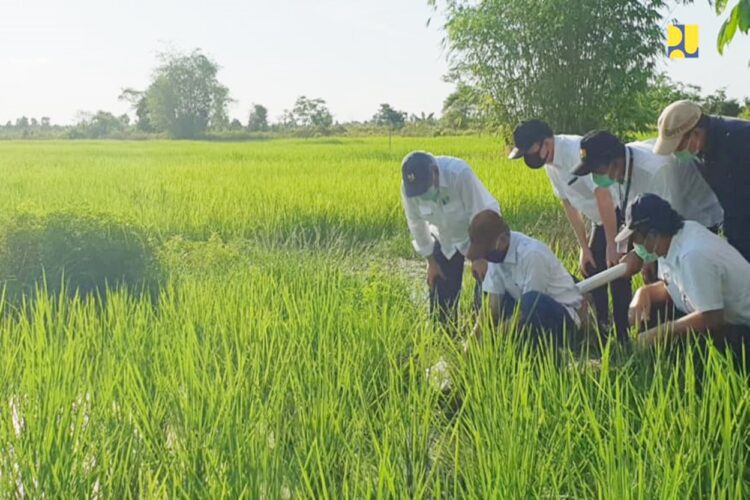 Bersiap Jadi Penyangga Pangan IKN, DTPHP Kalteng-BRIN Kembangkan Pertanian Cerdas