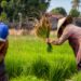 Kabupaten Penajam Rancang Program untuk Tingkatkan Kualitas Produk Pertanian