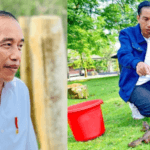 Jokowi di IKN (kiri) apakah akan kembali menyebar kodok seperti saat menempati Istana Bogor 2016 silam (kanan). Foto: Setpres. Kolase: Iknpos.id