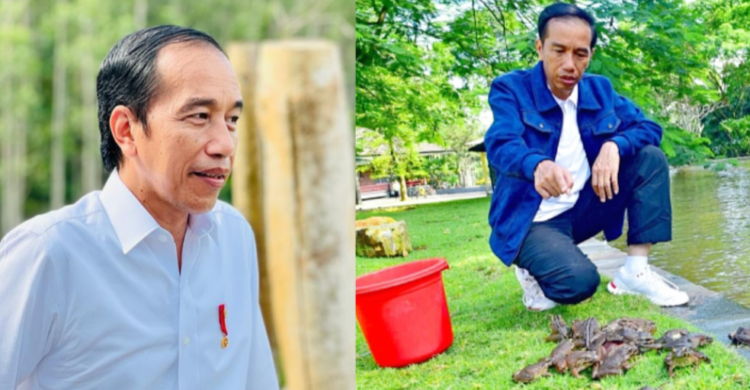 Jokowi di IKN (kiri) apakah akan kembali menyebar kodok seperti saat menempati Istana Bogor 2016 silam (kanan). Foto: Setpres. Kolase: Iknpos.id