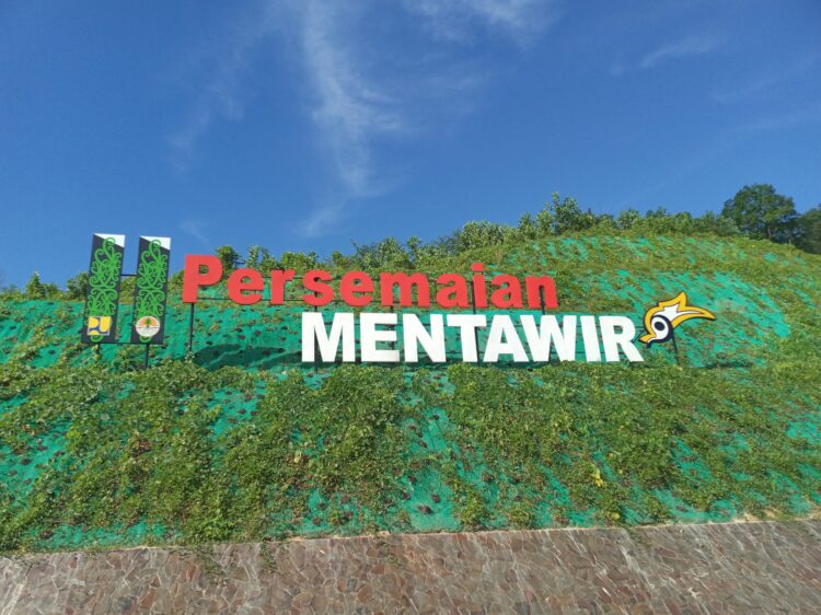 persemaian mentawir