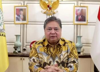 Hamil Tua