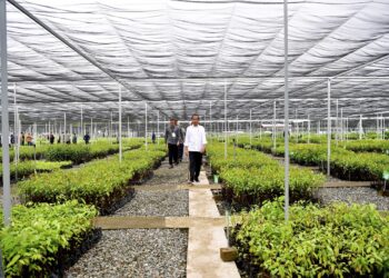 PUPR Bangun 8 Green House untuk Suplai Kebutuhan Hotel dan Akomodasi di IKN