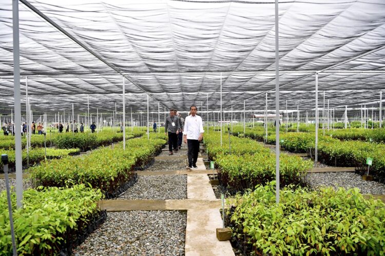 PUPR Bangun 8 Green House untuk Suplai Kebutuhan Hotel dan Akomodasi di IKN