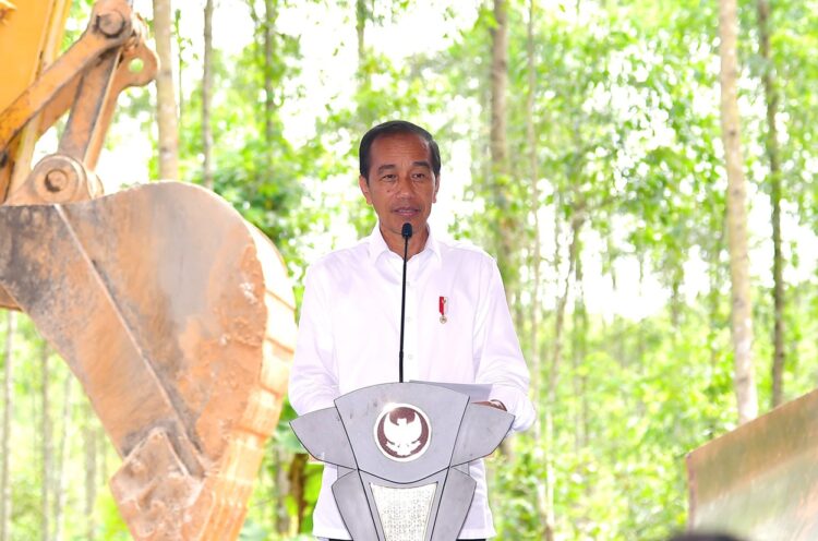 Menteri Basuki: Presiden Jokowi Akan Lakukan 4 Groundbreaking di IKN