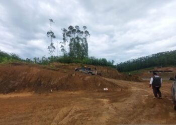 Ini Penampakan 1,5 Hektar Lahan di IKN untuk Kantor BNPB Pusat