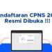 Pendaftaran CPNS 2024 Resmi Dibuka Sore Ini Pukul 17.08 WIB, Wajib Pantau SSCASN BKN!