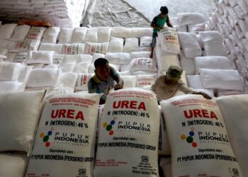 Sulsel Ingin Jadi Penyangga IKN, Kementan Beri Bantuan 877 Ribu Ton Pupuk Subsidi