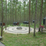 Glamping IKN Sepaku. Foto: Dok/Bobobox