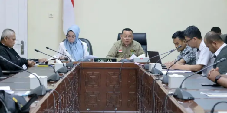 DPRD Provinsi Kalimantan Timur menggelar Rapat Dengar Pendapat (RDP) bersama Forum Komunikasi Tenaga Non-ASN (FKTNA) Kalimantan Timur, Rabu 21 Agustus 2024. Foto: Pemprov Kaltim