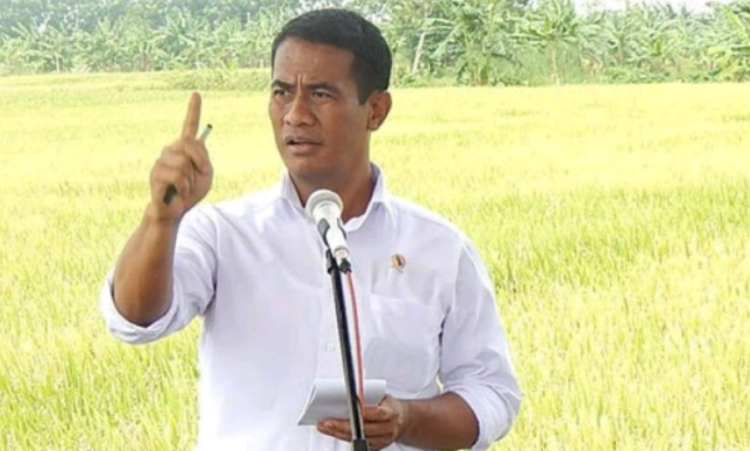Menteri Pertanian Andi Amran