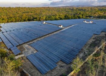 PLN Jajaki Kerja Sama dengan Perusahaan Jerman untuk Kembangkan Infrastruktur EBT di IKN