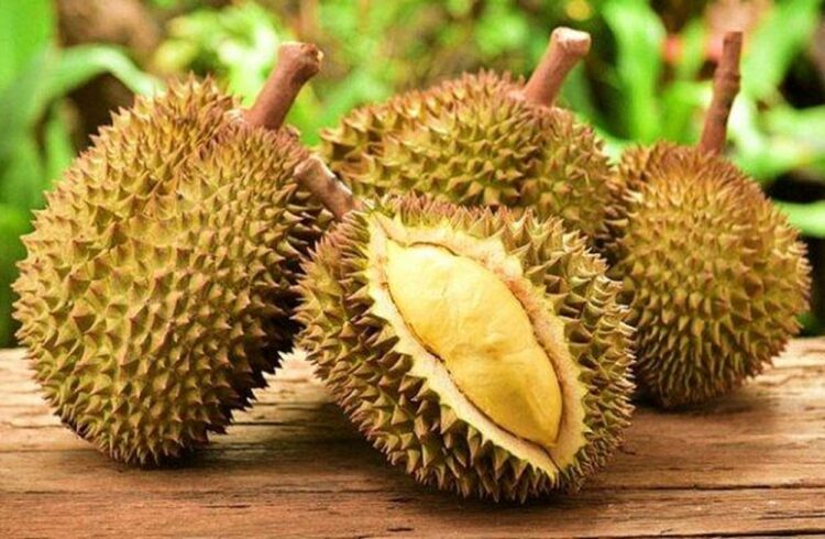 Kabupaten Sigi Ingin Jadi Pemasok Durian untuk Ibu Kota Nusantara