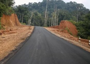Ini Masukan Anggota DPR Soal Jalan Provinsi di Sekitar IKN