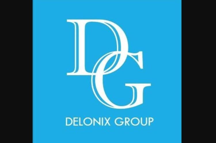 Profil Delonix Bravo Investment, Perusahaan Tiongkok yang Investasi Rp 500 Miliar di IKN