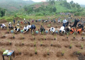 OIKN Siapkan Pedoman Pemulihan dan Rehabilitasi Lahan di Nusantara