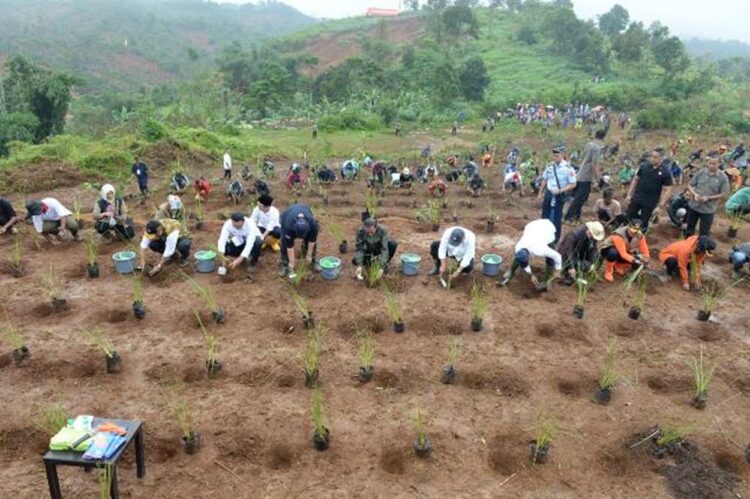 OIKN Siapkan Pedoman Pemulihan dan Rehabilitasi Lahan di Nusantara