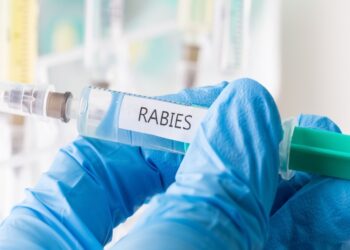 Pemprov Kaltim Siapkan Kasira, Upaya Cegah Rabies Masuk IKN