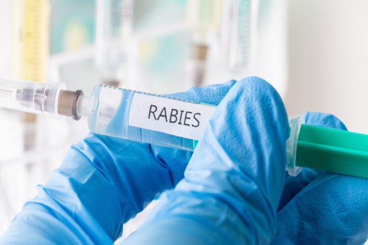 Pemprov Kaltim Siapkan Kasira, Upaya Cegah Rabies Masuk IKN