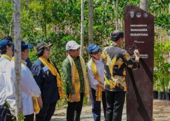 Hutan Wanagama IKN Akan Digunakan sebagai Sarana Pengembangan Beberapa Klaster Ilmu