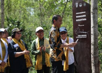 Presiden Resmi Canangkan Hutan Wanagama Nusantara untuk Dukung Pembangunan IKN